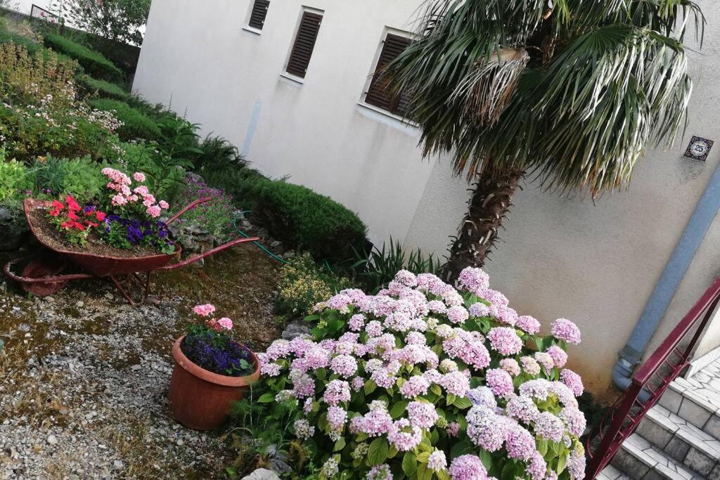 Spacious 2-Room Apartment With Beautiful Sea View Crikvenica Ngoại thất bức ảnh